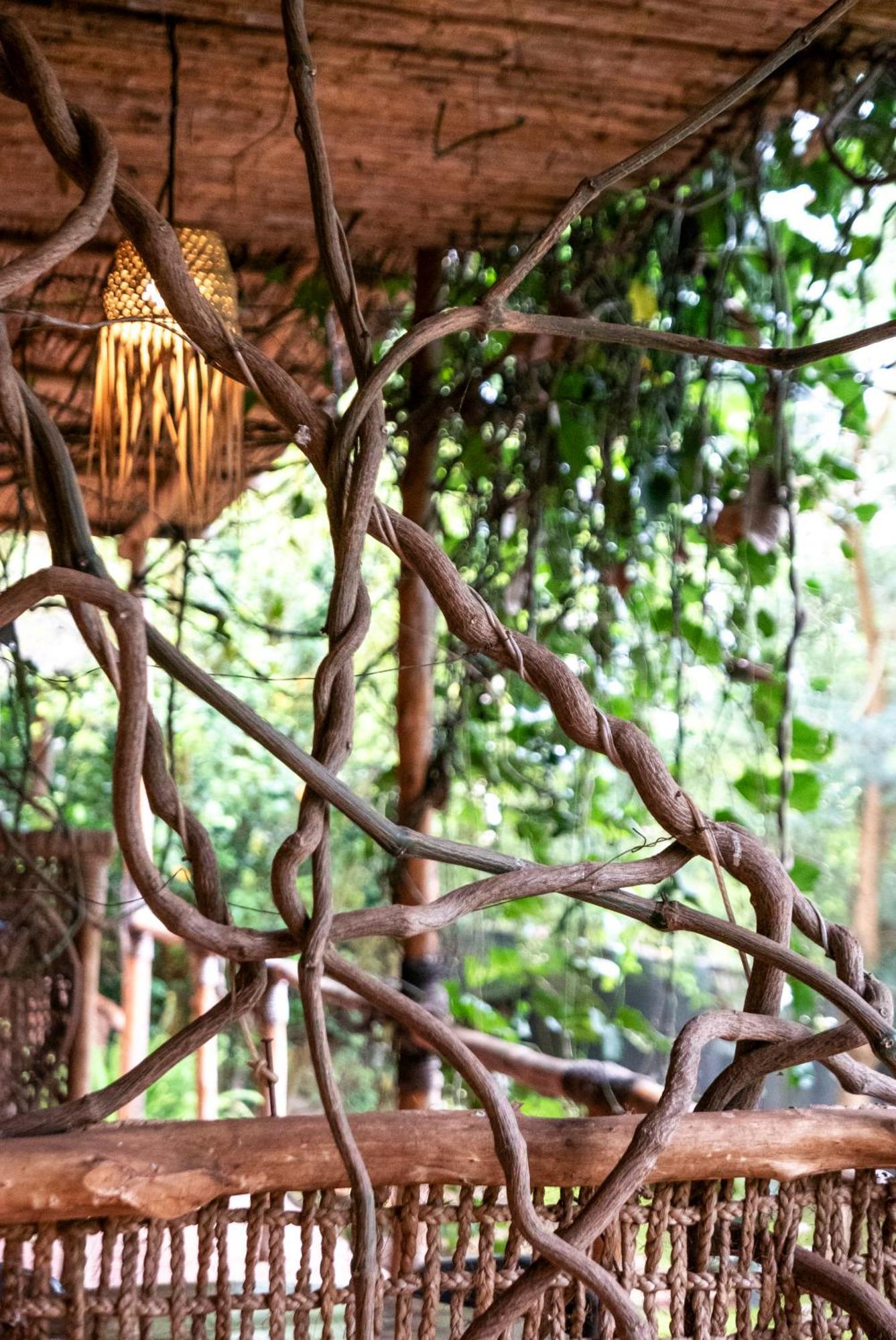 Akagera Transit Lodge Luaran gambar