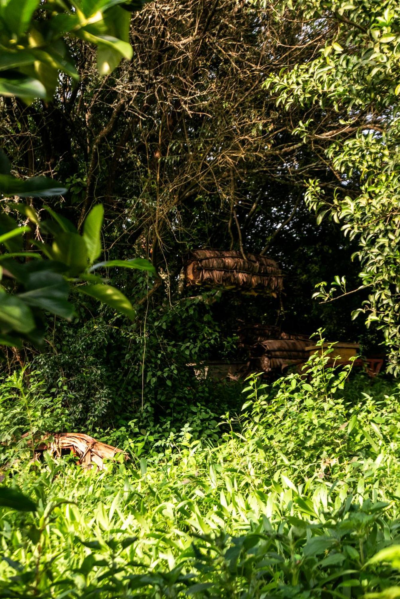 Akagera Transit Lodge Luaran gambar